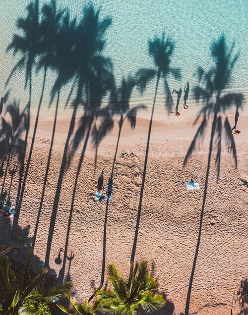 Cruises